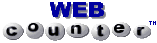 Large WebCounter Logo - Transparent Background